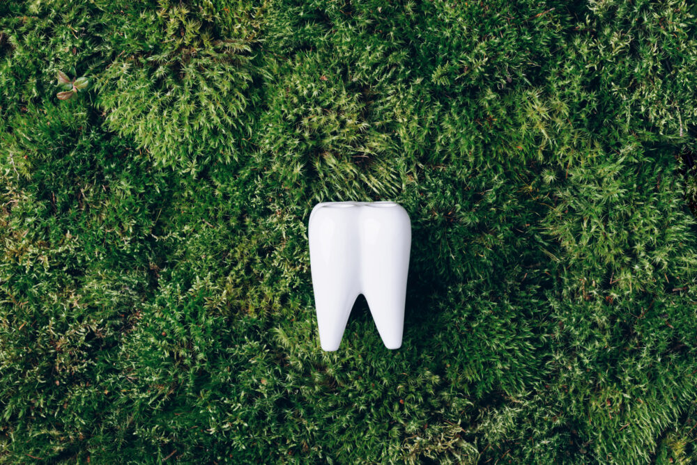 Holistic Dentistry san antonio